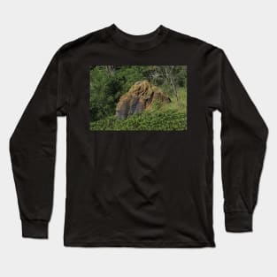 Red Sand Stone rock in a pasture Long Sleeve T-Shirt